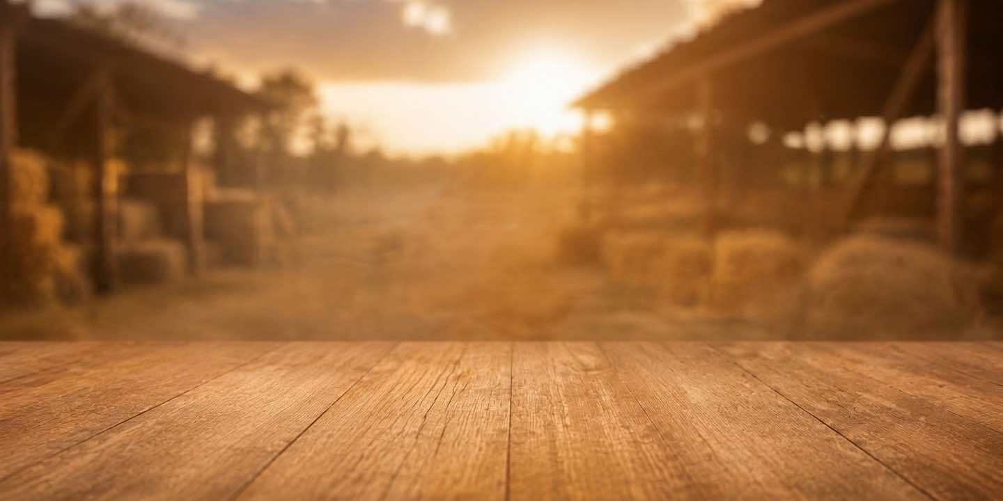 Fundo_3